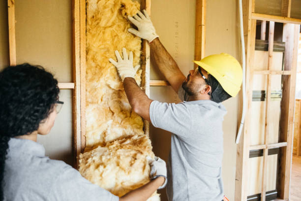 Insulation for New Construction in Cave Springs, AR
