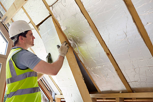 Best Home Insulation Services  in Cave Springs, AR