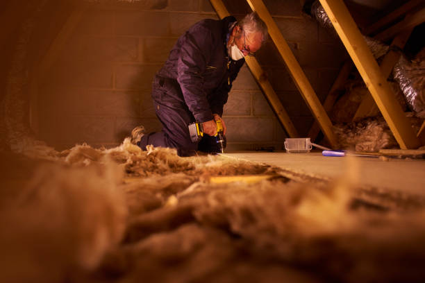 Best Insulation Contractors for Homes  in Cave Springs, AR