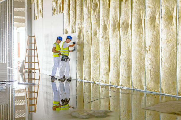 Best Spray Foam Insulation  in Cave Springs, AR